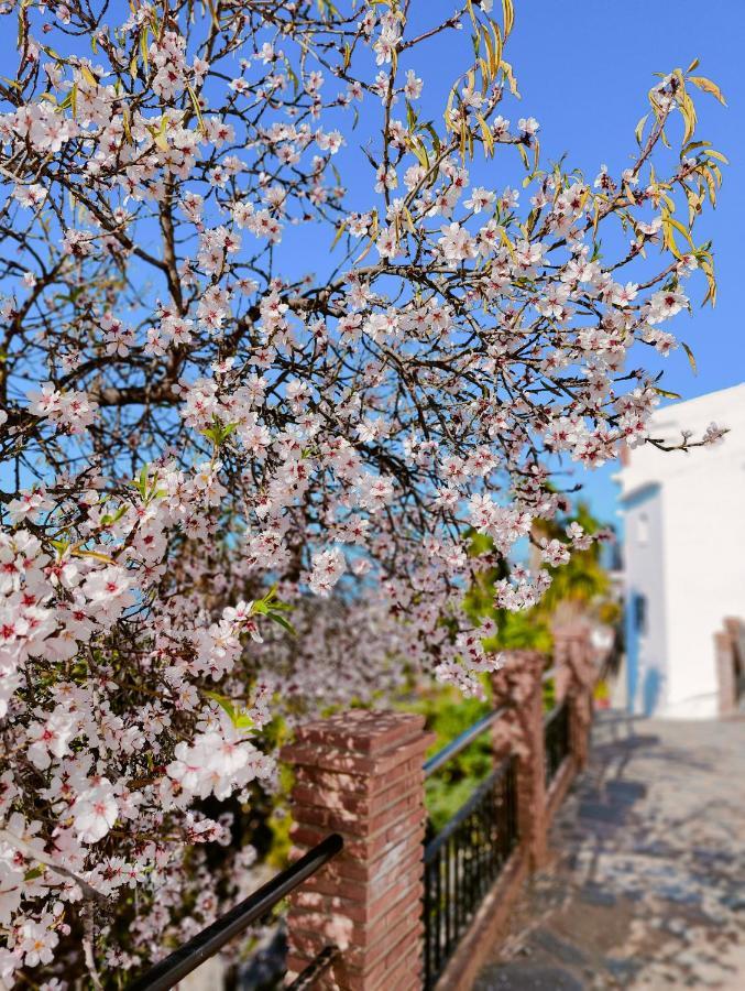 Modern, Bright And Comfortable Apartment With Shared Roof Terrace Canillas de Aceituno Extérieur photo
