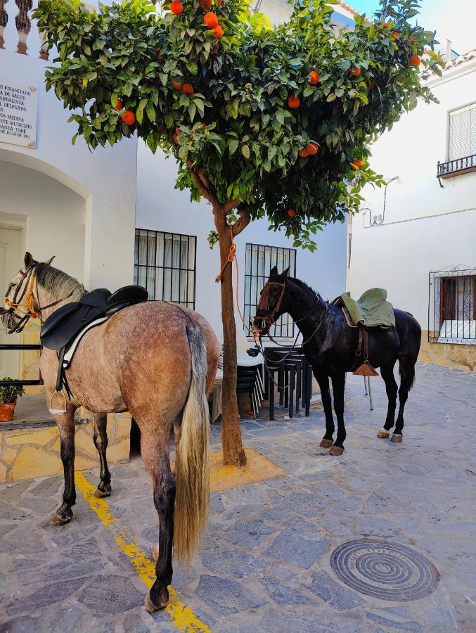 Modern, Bright And Comfortable Apartment With Shared Roof Terrace Canillas de Aceituno Extérieur photo